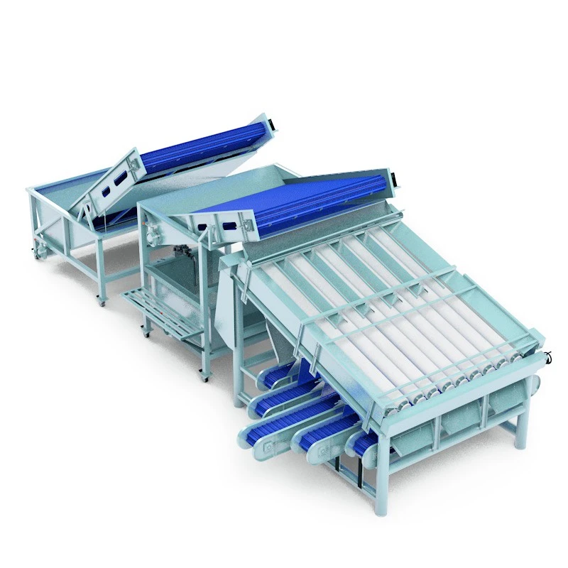 Cold Water Shrimp Sorting Machine factory