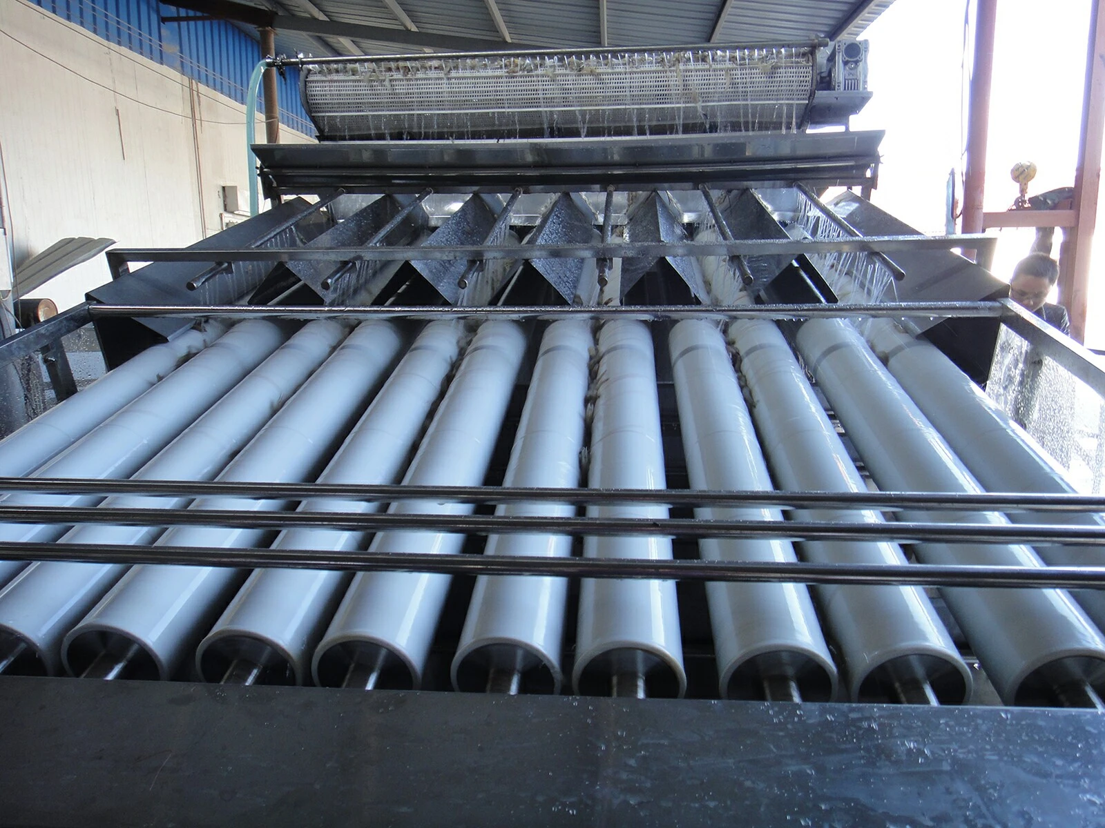 Shrimp Sorting Equipment Shrimp Sorting Equipment