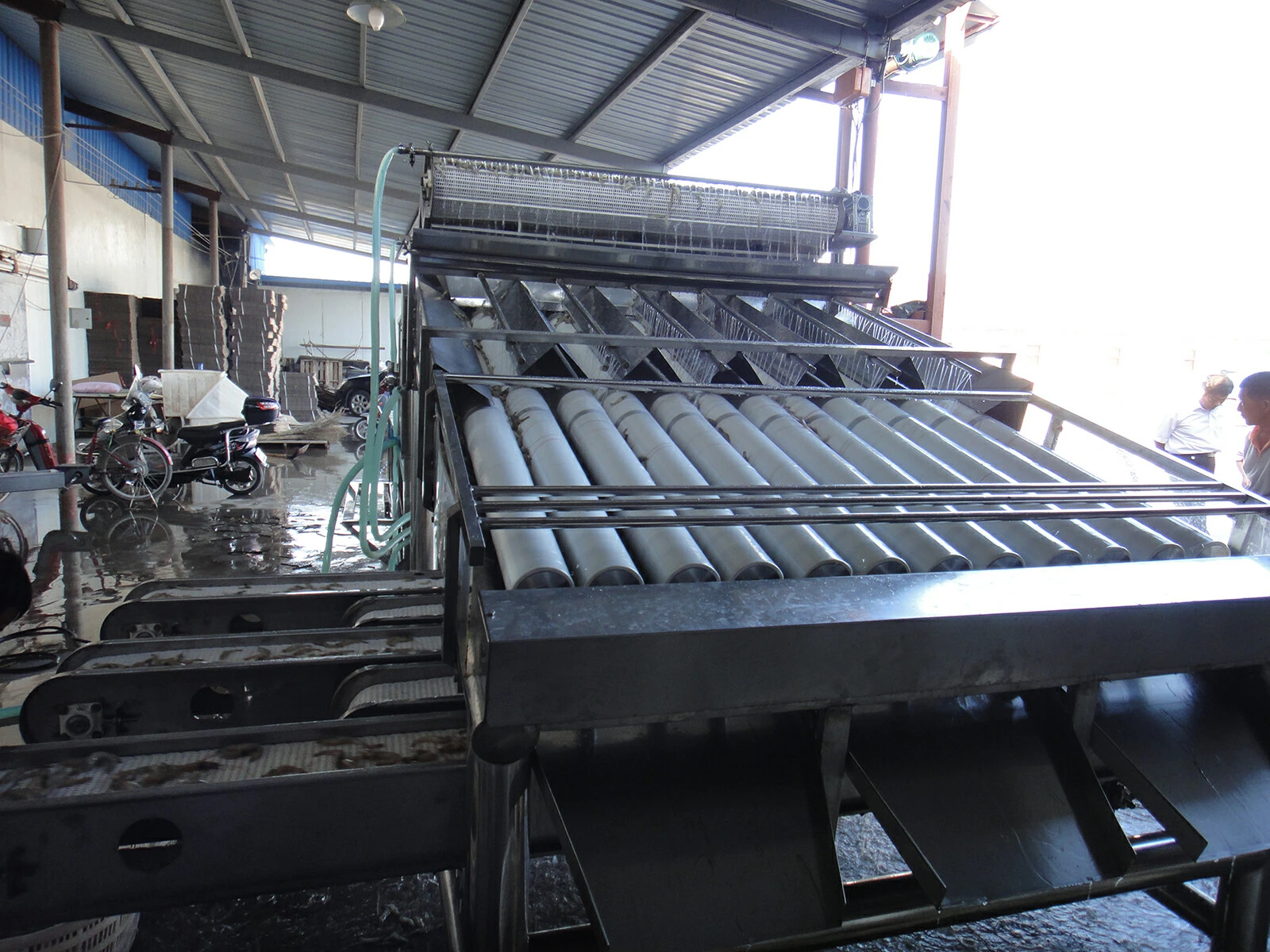 Shrimp Sorting Sorting Equipment Shrimp Sorting Sorting Equipment